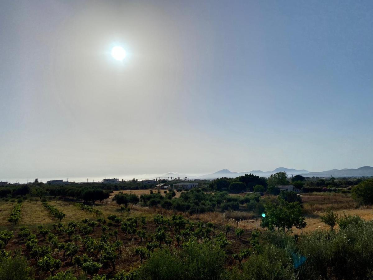 Sunset View Apartment, In The Nature, At Zipari "6" Ziparion Екстер'єр фото